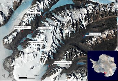 Geochemically Defined Space-for-Time Transects Successfully Capture Microbial Dynamics Along Lacustrine Chronosequences in a Polar Desert